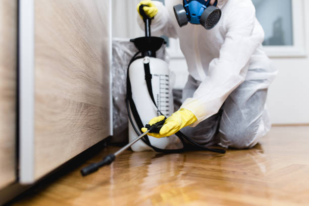 Best Exterminator Services  in Renton, WA