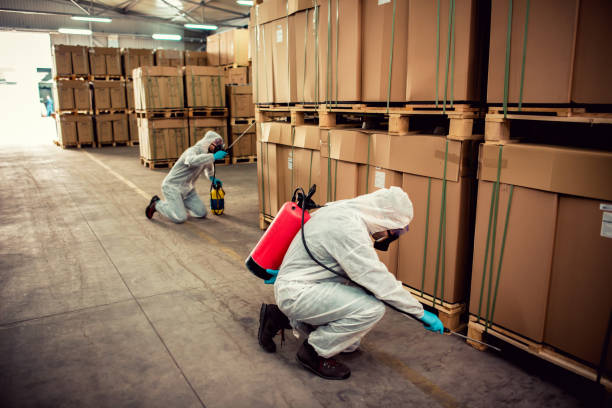 Best Affordable Pest Control Services  in Renton, WA