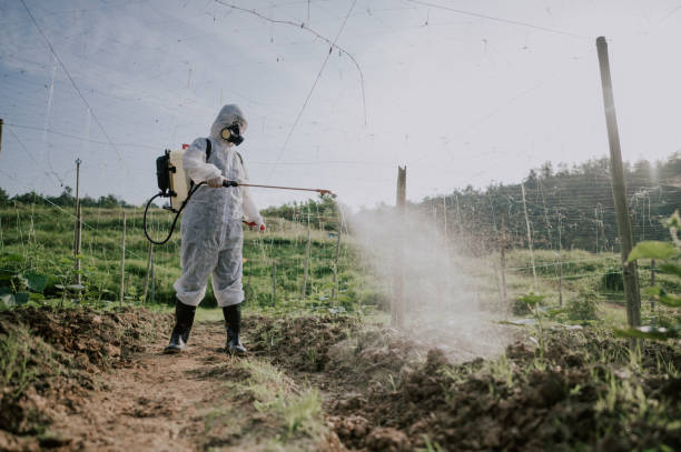 Best Best Pest Control Companies  in Renton, WA