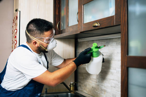 Best Pest Control Cost  in Renton, WA