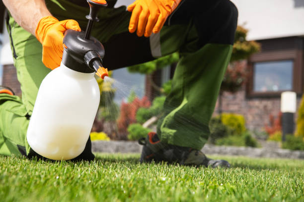 Best Rodent Control Near Me  in Renton, WA