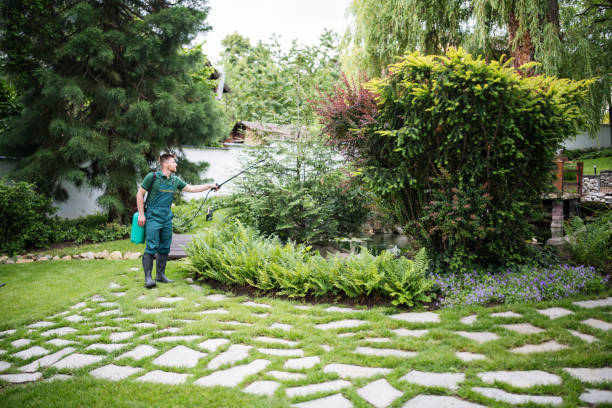 Insect Control in Renton, WA