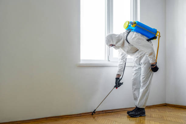 Best Commercial Pest Control Services  in Renton, WA
