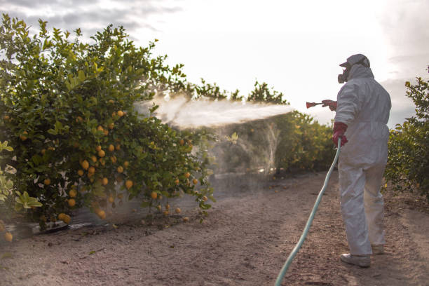 Renton, WA Pest Control Company