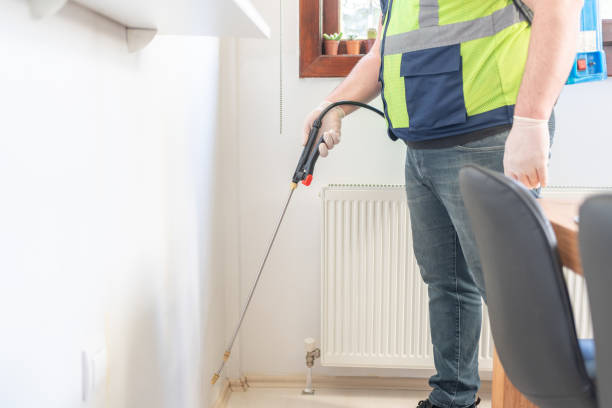 Best Termite Control Services  in Renton, WA