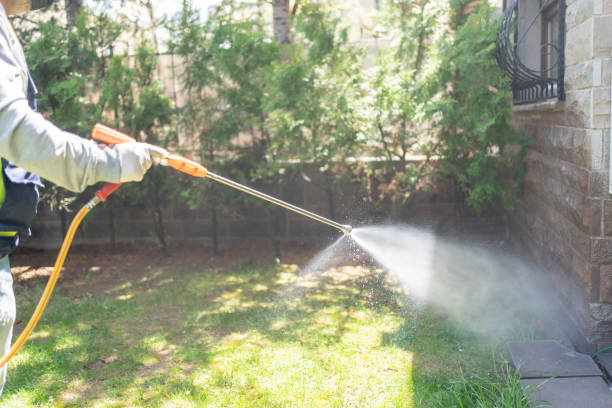 Best Exterminator Services  in Renton, WA