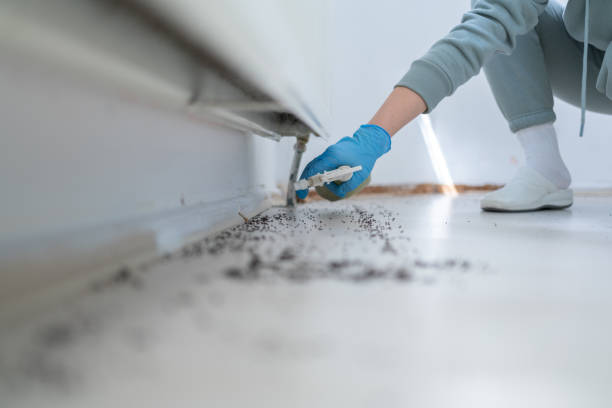 Best Affordable Pest Control Services  in Renton, WA